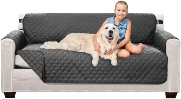 Sofa Shield Couch