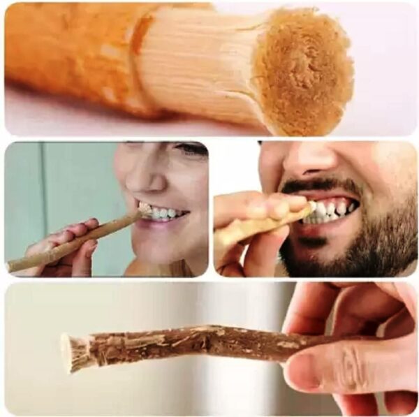 Miswak (sewak) Peelu