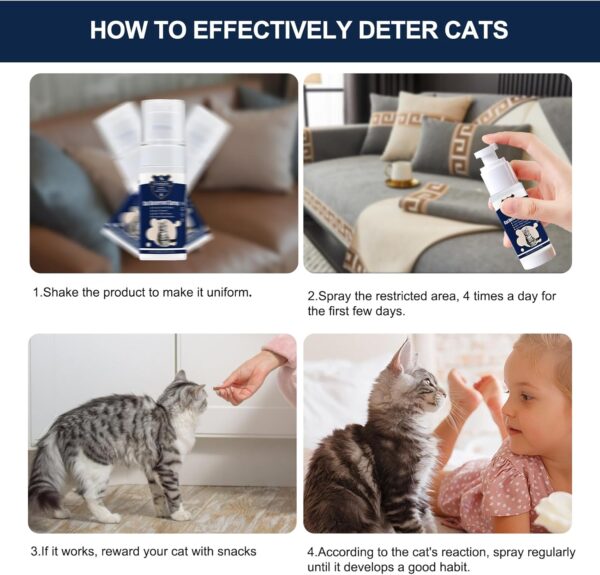 Premium Cat - Image 2