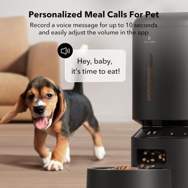 Automatic Cat Feeder - Image 2