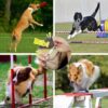 Dog Whistle - Image 2