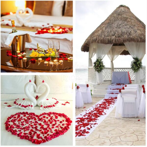 Artificial Silk Rose Petals - Image 4