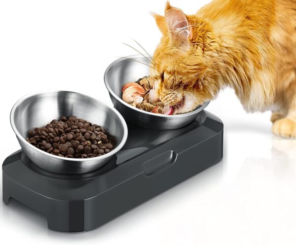 Raised Cat Bowl