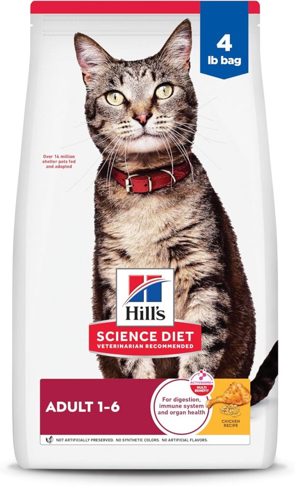 Dry Cat Food