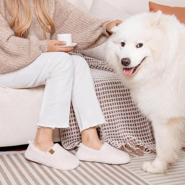 Slippers Memory - Image 3
