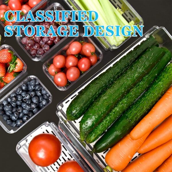 Vegetable Storage - Image 4