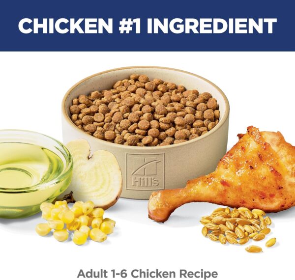 Dry Cat Food - Image 2