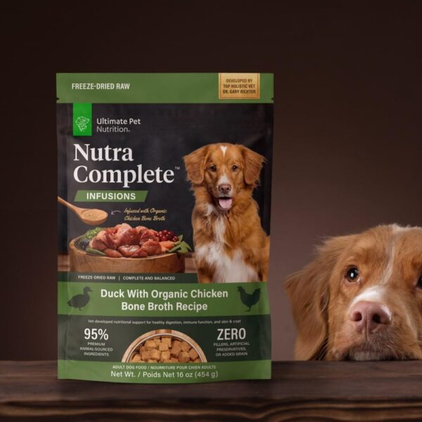 Dog Food - Image 2