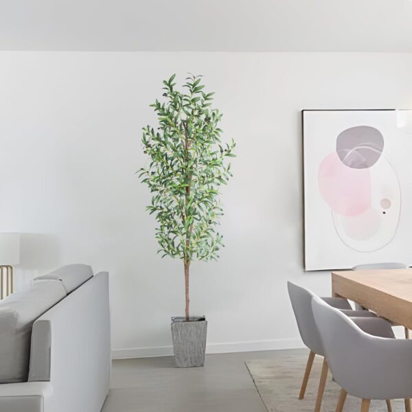 Olive Trees - Image 2