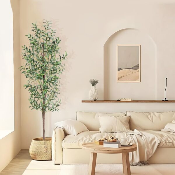 Olive Trees