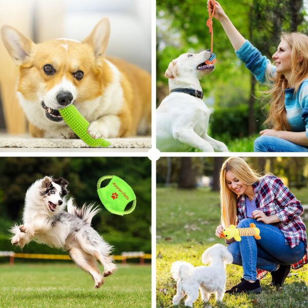 Cleaning,Dog - Image 3