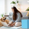 Pads for Dogs - Image 2