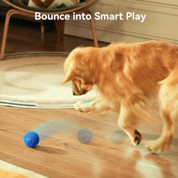 Dog Toy, - Image 2