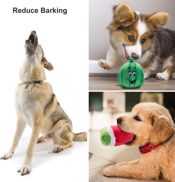 Dog Toys - Image 4