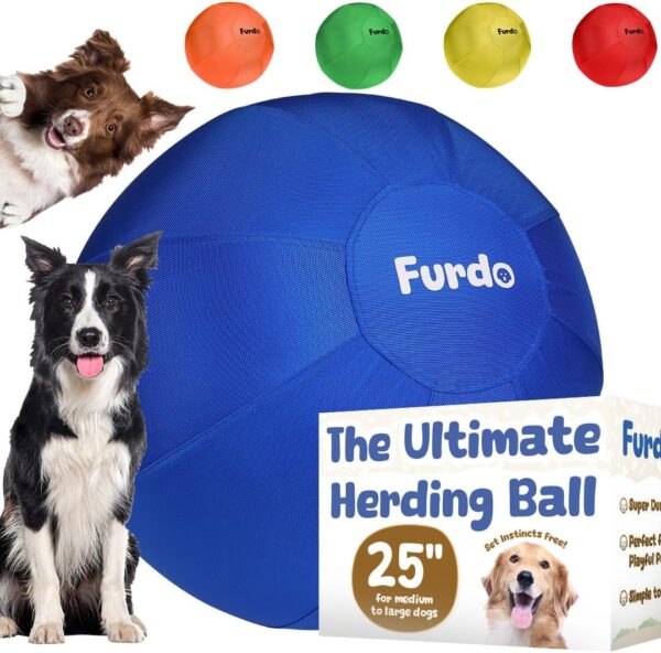 Dog Toys