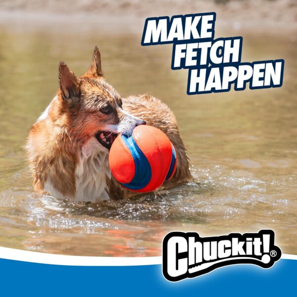 Ball Dog Toy - Image 3